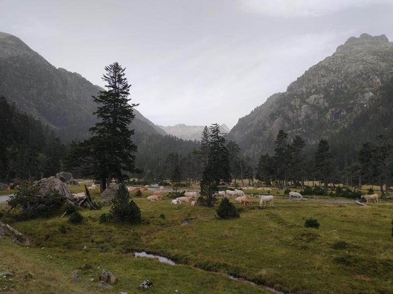 Soupiets Bed & Breakfast Betpouey Bagian luar foto